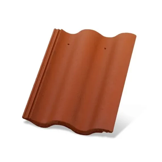 synus mogyoro alapcserep